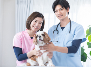 福岡市東区のホームページ・Web制作会社 株式会社シュガープラス