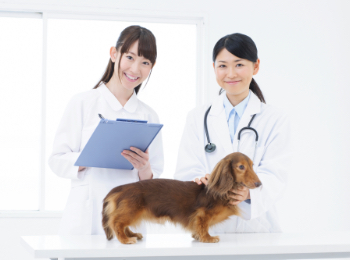 福岡市東区のホームページ・Web制作会社 株式会社シュガープラス