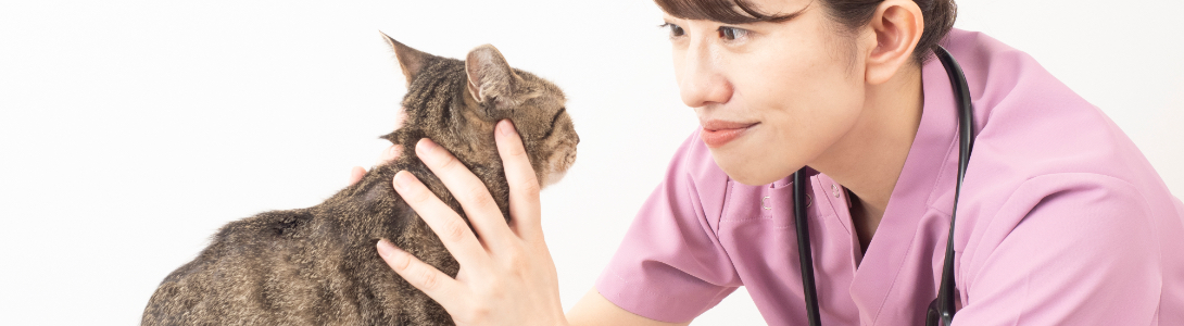 福岡市東区のホームページ・Web制作会社 株式会社シュガープラス